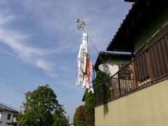 軒先 こいのぼり 三匹
